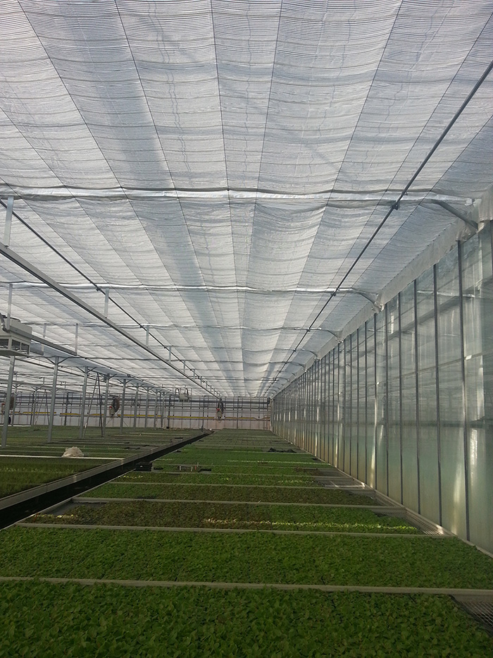 Crop and Irrigation Support in a Shade Curtain