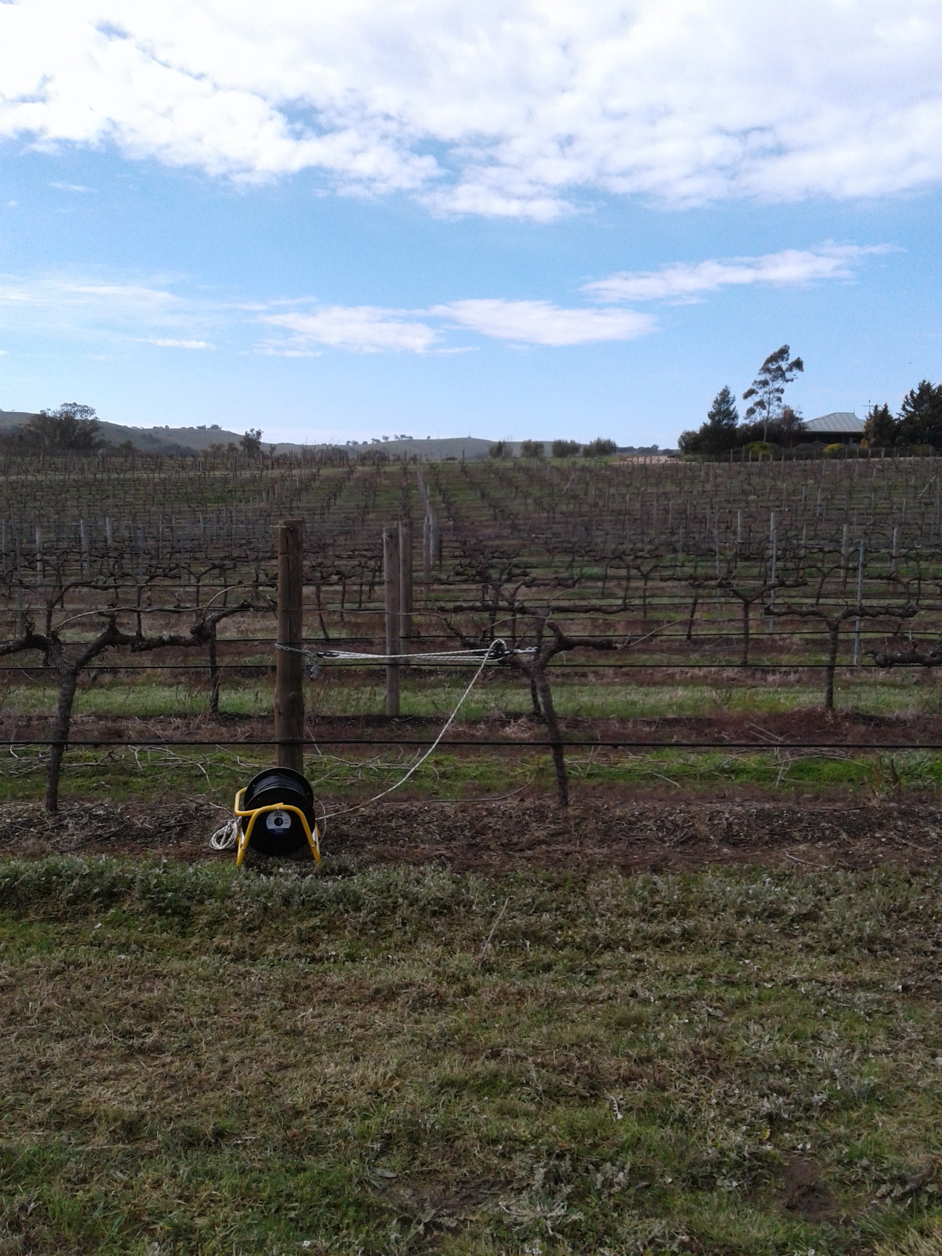 Vineyards